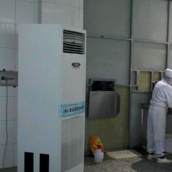 嘉峪关食品正负离子空气杀菌器